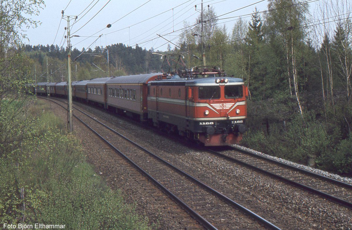 1-img152.jpg