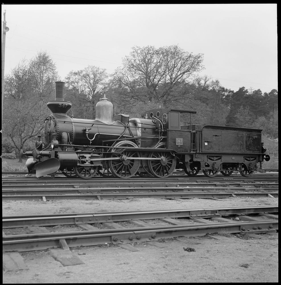 Jvm00002.jpg