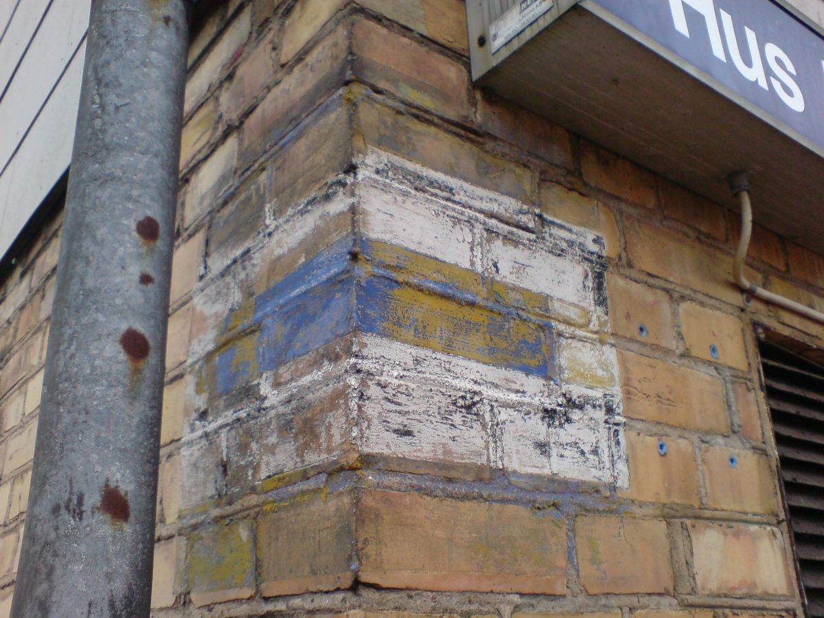DSC01536.JPG